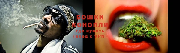 дмт Лагань
