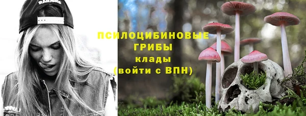 дмт Лагань
