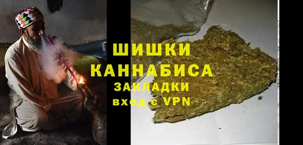 индика Коряжма