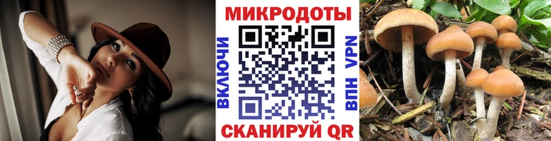 Купить закладки  Рыльск  Галлюциногенные грибы Psilocybine cubensis 